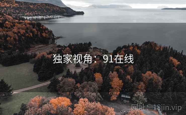 独家视角：91在线